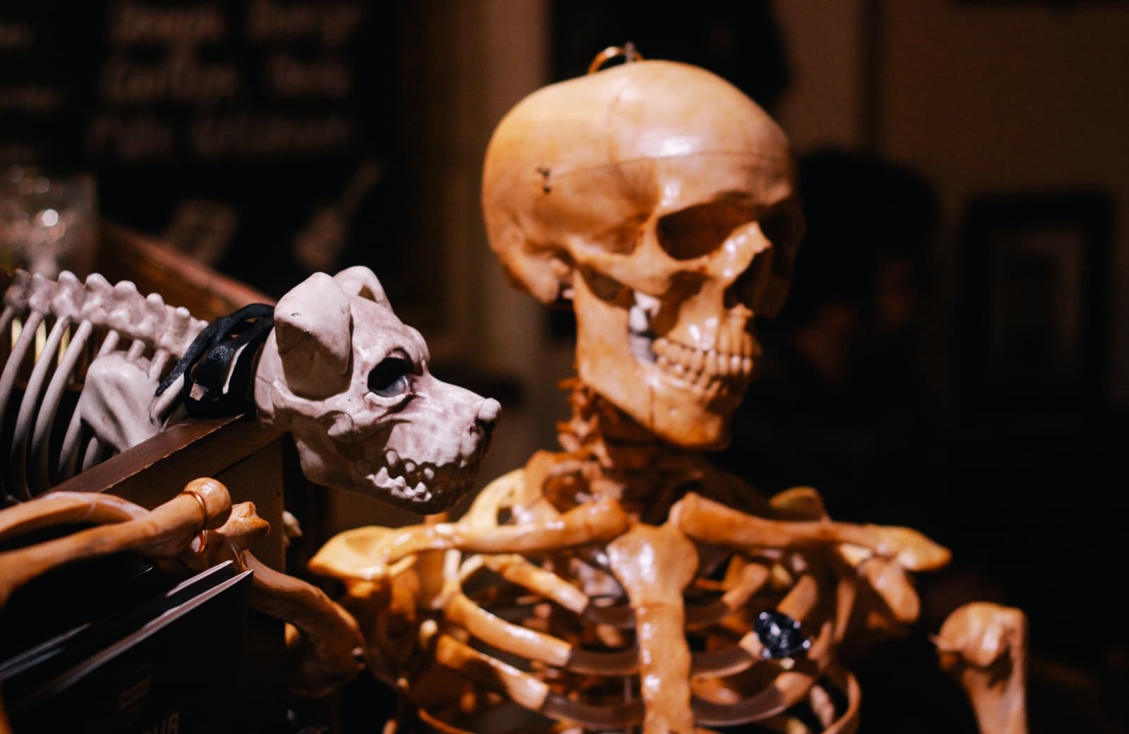 Waiters at Golden Fleece Pub York Mihail Zablodsky