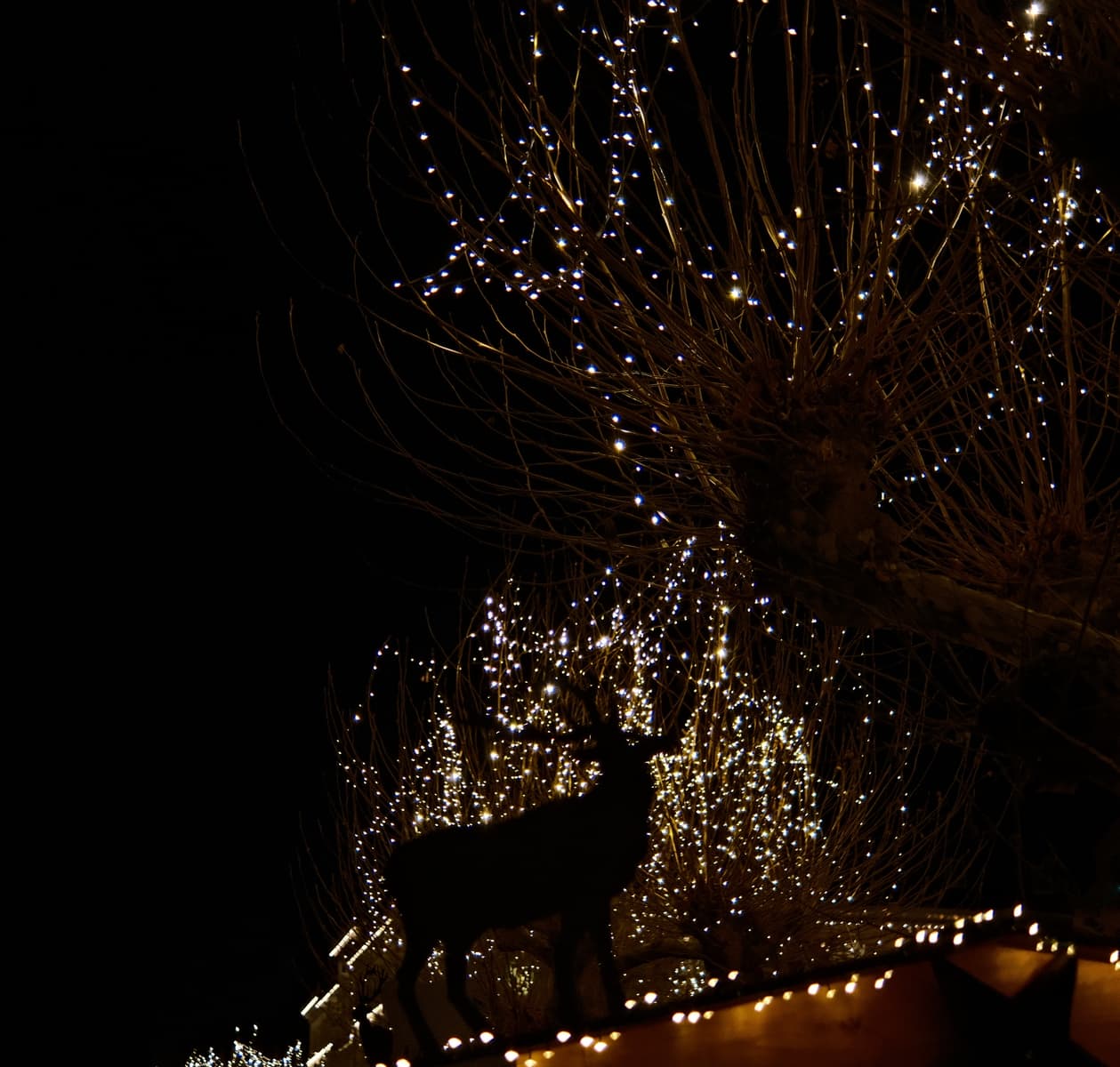 Starry Deer mystical night animal photo Mihail Zablodsky